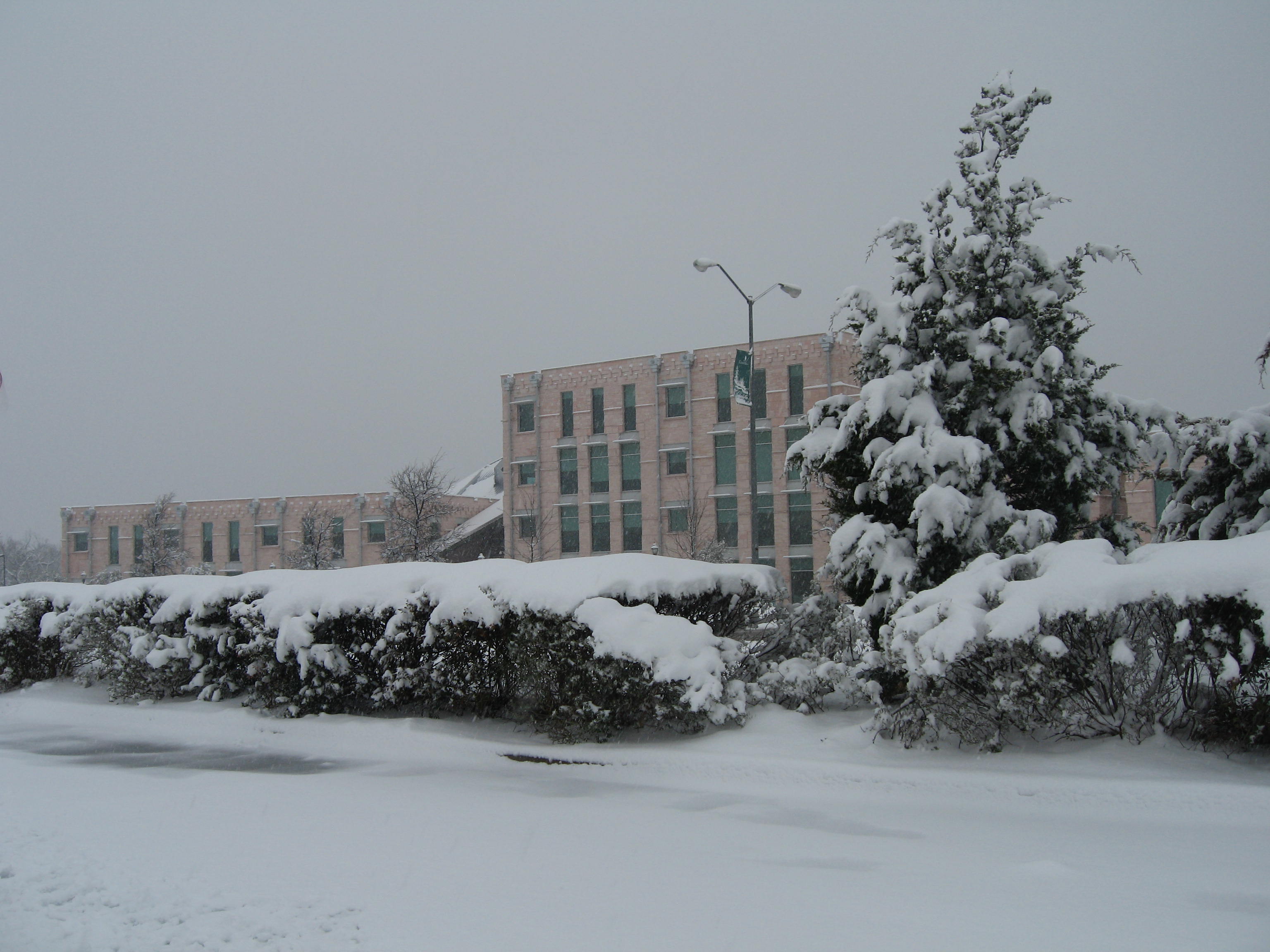 10.02.11 cedar hill snow scenes 032